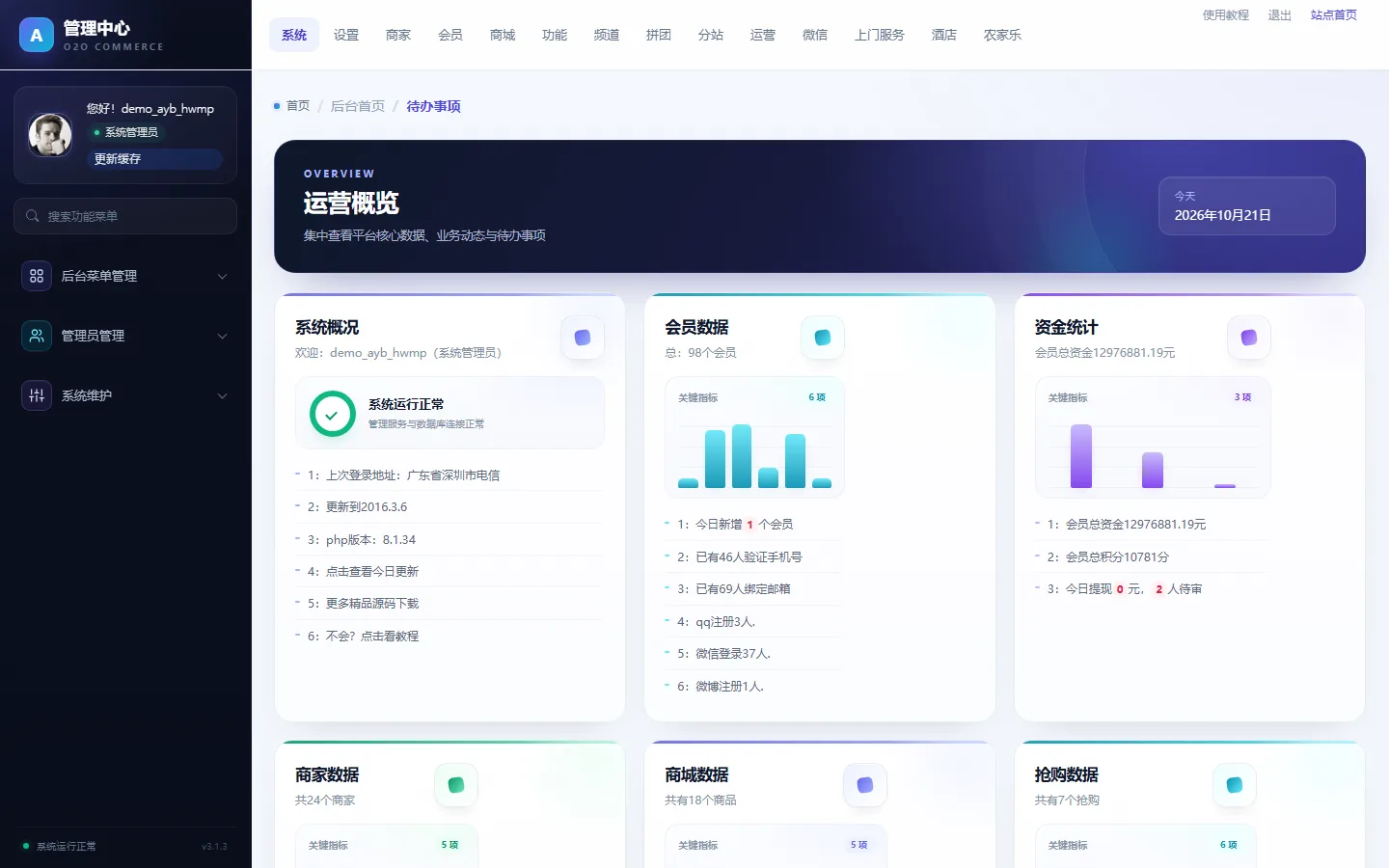 后台运营概览（会员 / 商家 / 商城 / 抢购 / 资金统计）